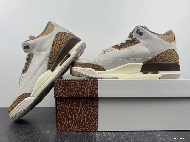CT8532-102 Jordan Air Palomino 3 0816